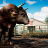 Xbox One игра комплект Far Cry 4+Far Cry 5 Xbox One игра комплект Far Cry 4+Far Cry 5