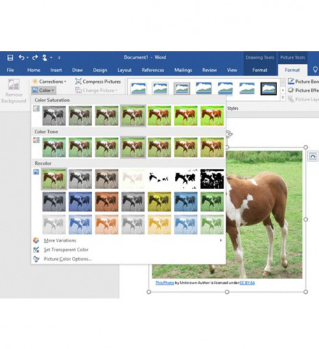 Office 365 Business Premium Rus Only Medialess 1 год KLQ-00422