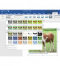 Office 365 Personal 1pc/1year QQ2-00004