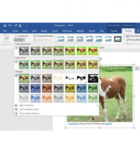 Office 365 Personal Sub 1YR Russia Only Medialess P4 QQ2-00733
