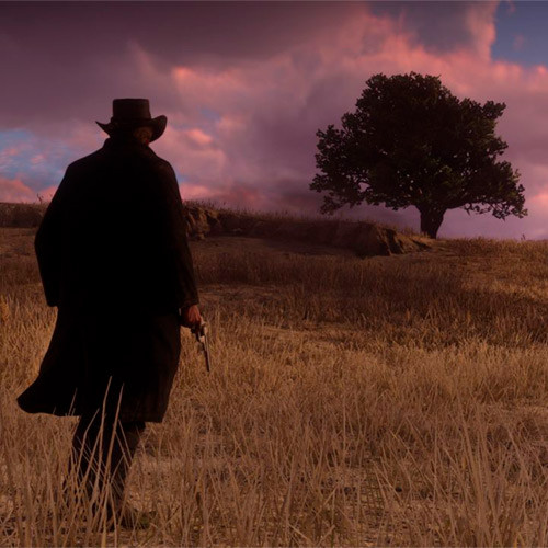 Xbox One игра Red Dead Redemption 2: Special Edition