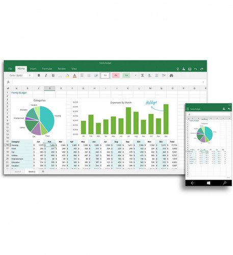 Office 2016 Home and Student Russia Only No Skype P2 79G-04713