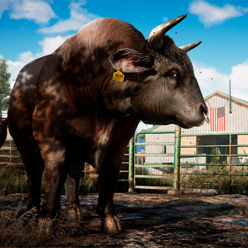 PS4 игра Комплект Far Cry 4 + Far Cry 5