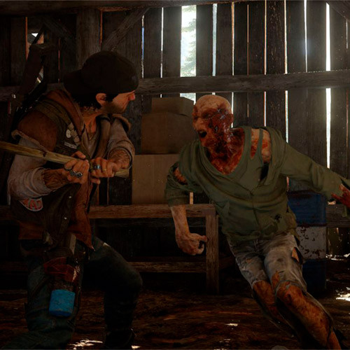 PS4 игра Days Gone Special Edition