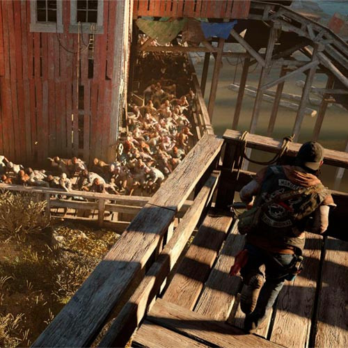 PS4 игра Days Gone Special Edition