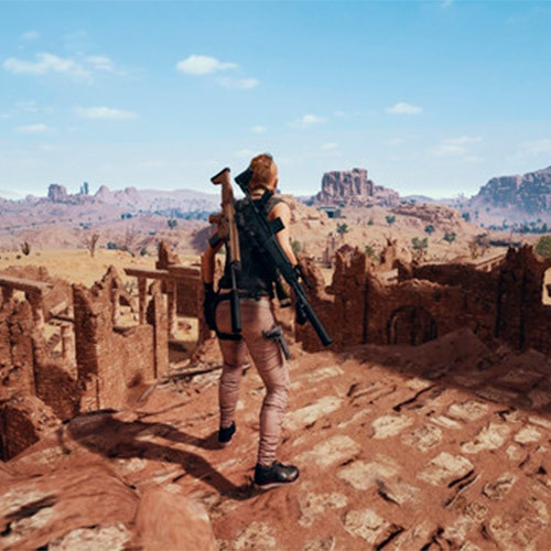 PS4 игра PLAYERUNKNOWN'S BATTLEGROUNDS