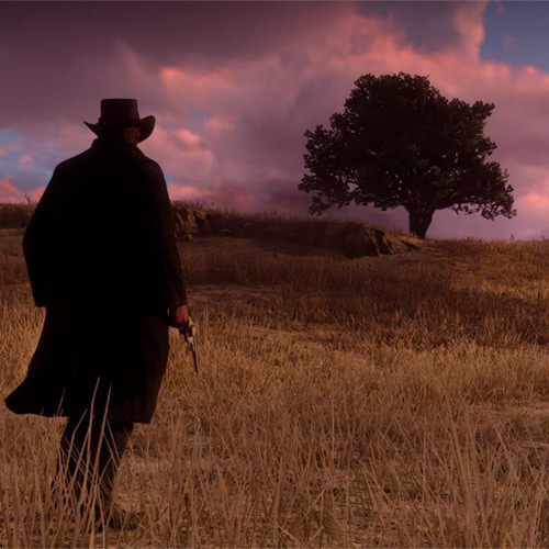 PS4 игра Red Dead Redemption 2